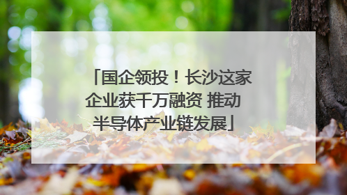 国企领投！长沙这家企业获千万融资 推动半导体产业链发展