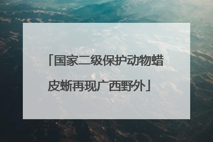 国家二级保护动物蜡皮蜥再现广西野外