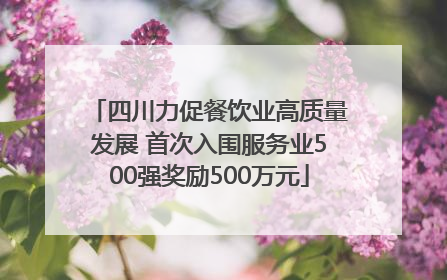四川力促餐饮业高质量发展 首次入围服务业500强奖励500万元