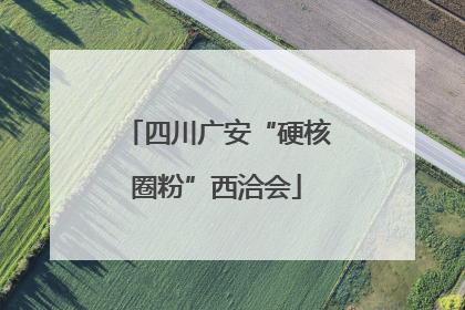 四川广安“硬核圈粉”西洽会