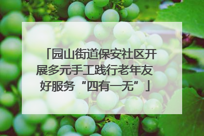 园山街道保安社区开展多元手工践行老年友好服务“四有一无”