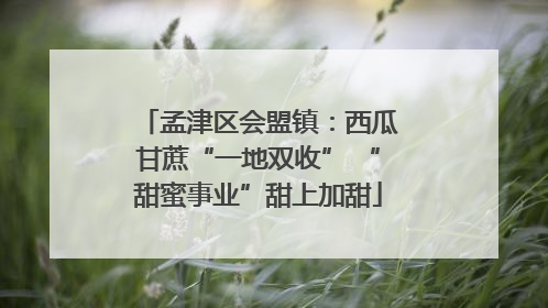 孟津区会盟镇：西瓜甘蔗“一地双收” “甜蜜事业”甜上加甜