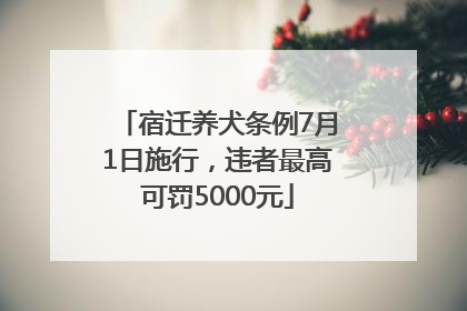 宿迁养犬条例7月1日施行，违者最高可罚5000元
