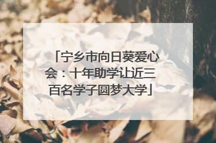 宁乡市向日葵爱心会：十年助学让近三百名学子圆梦大学