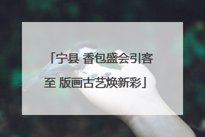 宁县 香包盛会引客至 版画古艺焕新彩