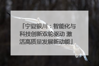 宁夏银川：智能化与科技创新双轮驱动 激活高质量发展新动能