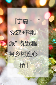 宁夏：“党建+科特派”架起服务乡村连心桥