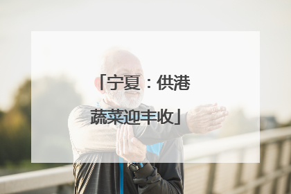 宁夏：供港蔬菜迎丰收