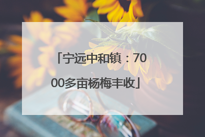 宁远中和镇：7000多亩杨梅丰收