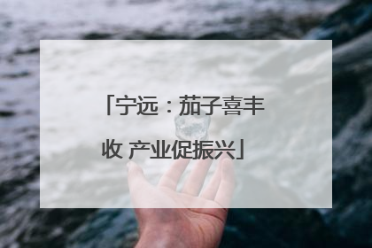 宁远：茄子喜丰收 产业促振兴