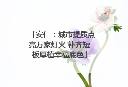 安仁：城市提质点亮万家灯火 补齐短板厚植幸福底色