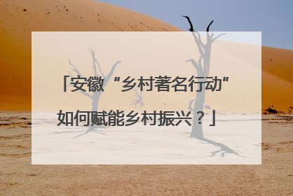 安徽“乡村著名行动”如何赋能乡村振兴？