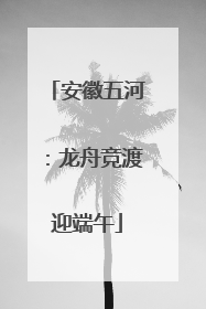 安徽五河：龙舟竞渡迎端午