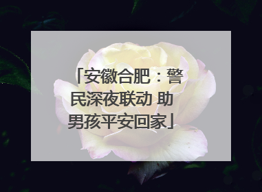 安徽合肥：警民深夜联动 助男孩平安回家