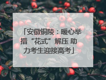 安徽铜陵：暖心举措“花式”解压 助力考生迎接高考