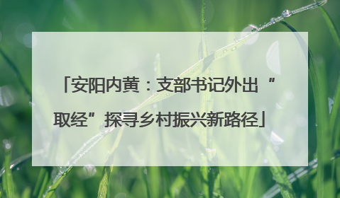 安阳内黄：支部书记外出“取经”探寻乡村振兴新路径