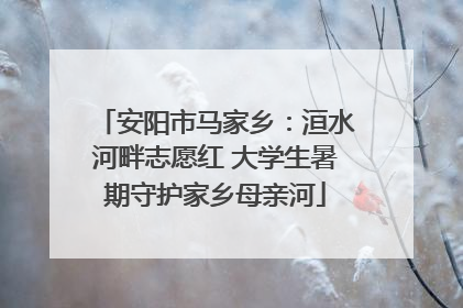 安阳市马家乡：洹水河畔志愿红 大学生暑期守护家乡母亲河