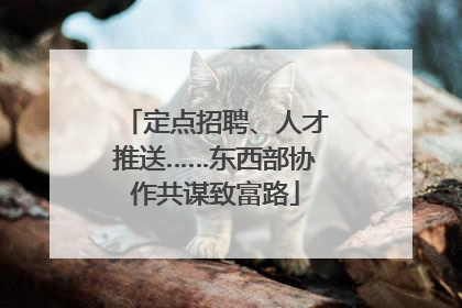 定点招聘、人才推送……东西部协作共谋致富路