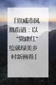 宣威市凤凰街道：以“党建红”绘就绿美乡村新画卷