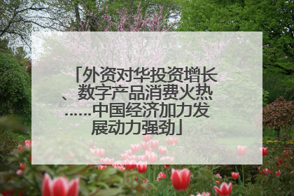 外资对华投资增长、数字产品消费火热……中国经济加力发展动力强劲