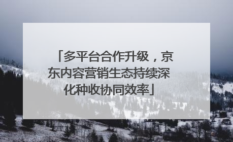 多平台合作升级，京东内容营销生态持续深化种收协同效率