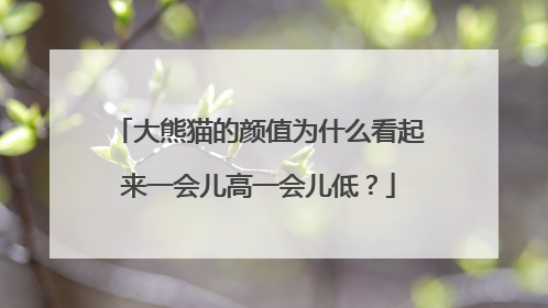 大熊猫的颜值为什么看起来一会儿高一会儿低？