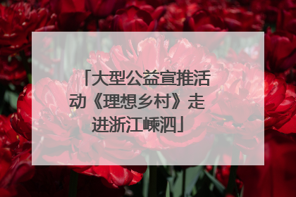大型公益宣推活动《理想乡村》走进浙江嵊泗