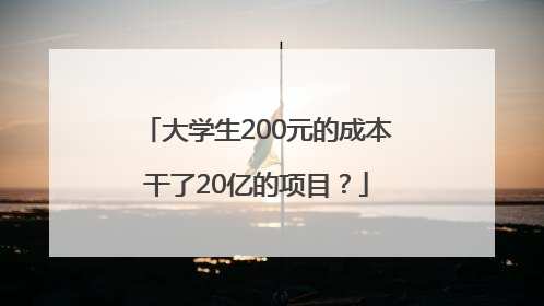 大学生200元的成本干了20亿的项目？