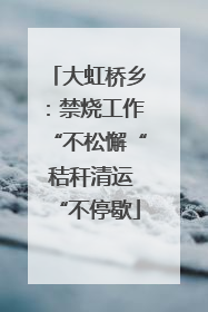 大虹桥乡：禁烧工作“不松懈“ 秸秆清运“不停歇