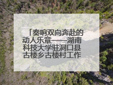 奏响双向奔赴的动人乐章——湖南科技大学驻洞口县古楼乡古楼村工作队工作侧记