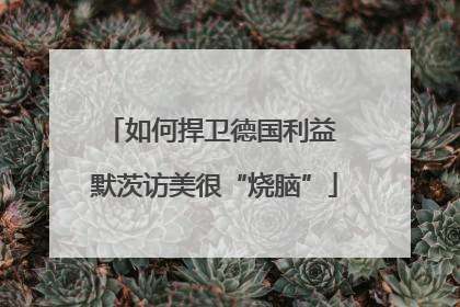 如何捍卫德国利益 默茨访美很“烧脑”