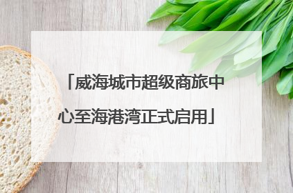 威海城市超级商旅中心至海港湾正式启用