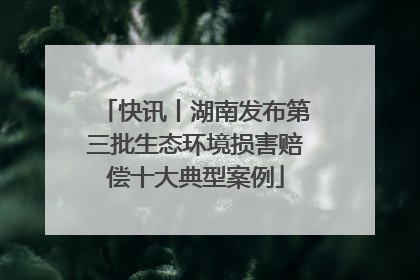快讯丨湖南发布第三批生态环境损害赔偿十大典型案例