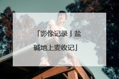 影像记录丨盐碱地上麦收记