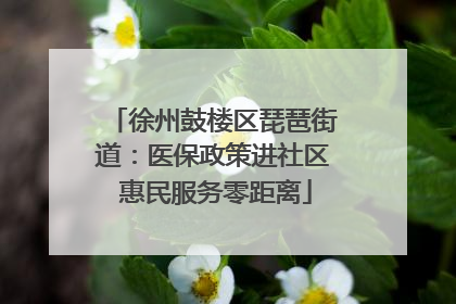 徐州鼓楼区琵琶街道：医保政策进社区 惠民服务零距离