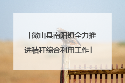 微山县南阳镇全力推进秸秆综合利用工作