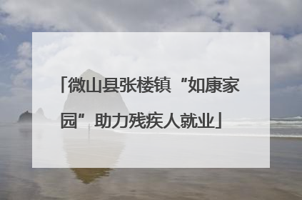 微山县张楼镇“如康家园”助力残疾人就业