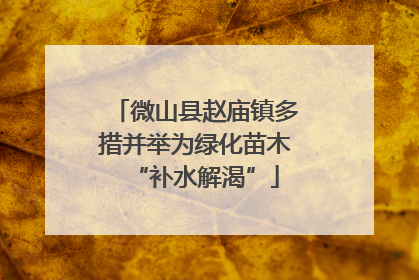 微山县赵庙镇多措并举为绿化苗木“补水解渴”