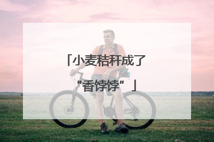 小麦秸秆成了“香饽饽”
