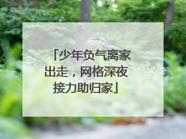 少年负气离家出走，网格深夜接力助归家