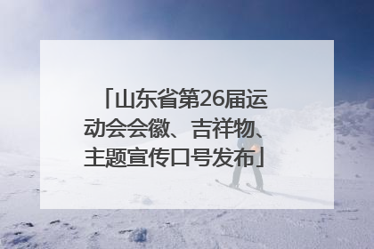 山东省第26届运动会会徽、吉祥物、主题宣传口号发布