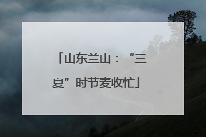 山东兰山：“三夏”时节麦收忙