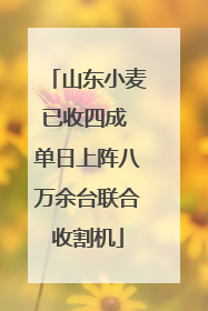山东小麦已收四成 单日上阵八万余台联合收割机