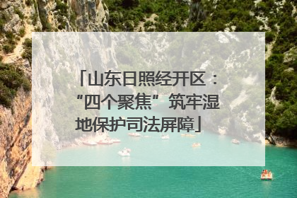山东日照经开区：“四个聚焦”筑牢湿地保护司法屏障
