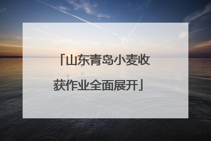 山东青岛小麦收获作业全面展开
