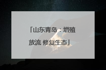 山东青岛：增殖放流 修复生态