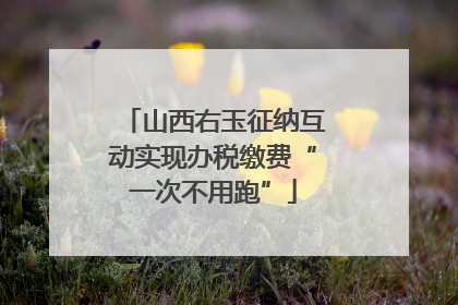 山西右玉征纳互动实现办税缴费“一次不用跑”