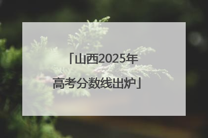 山西2025年高考分数线出炉