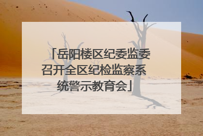 岳阳楼区纪委监委召开全区纪检监察系统警示教育会
