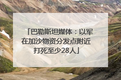 巴勒斯坦媒体：以军在加沙物资分发点附近打死至少28人